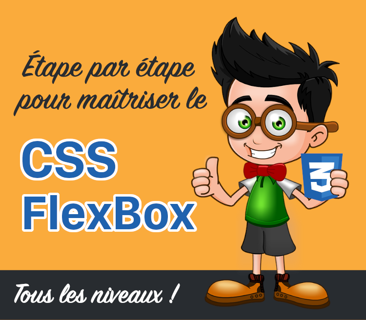 Maîtrisez le css flexbox